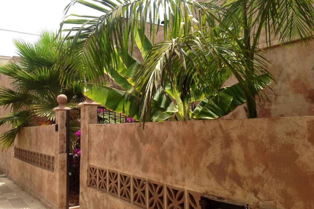 Semi-Detached Villa Sea Views, Huge Terrace, Close Beach Palm-mar Eksteriør billede